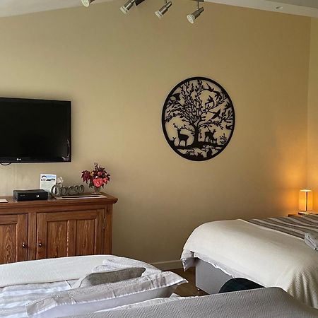 Tegfan Garden Suite Talgarth Extérieur photo