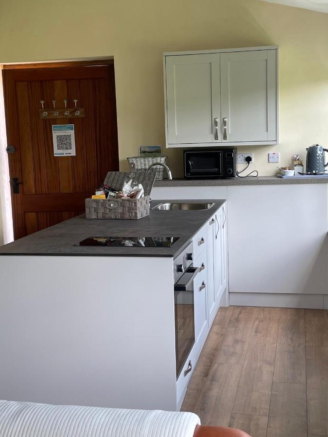 Tegfan Garden Suite Talgarth Extérieur photo