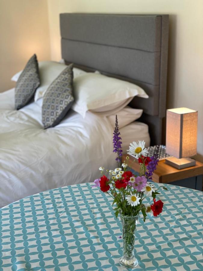 Tegfan Garden Suite Talgarth Extérieur photo